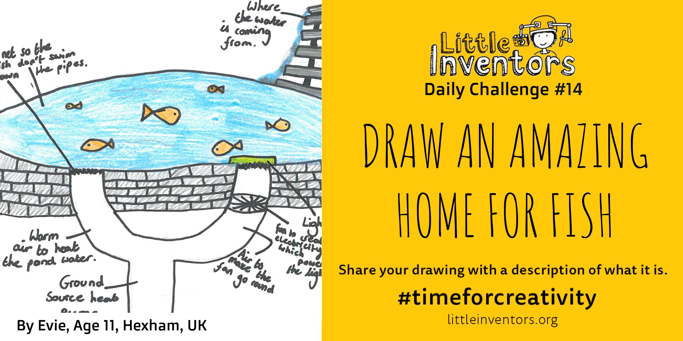 Daily challenge Little Inventors Challenge 14: Draw an amazing home for a fish