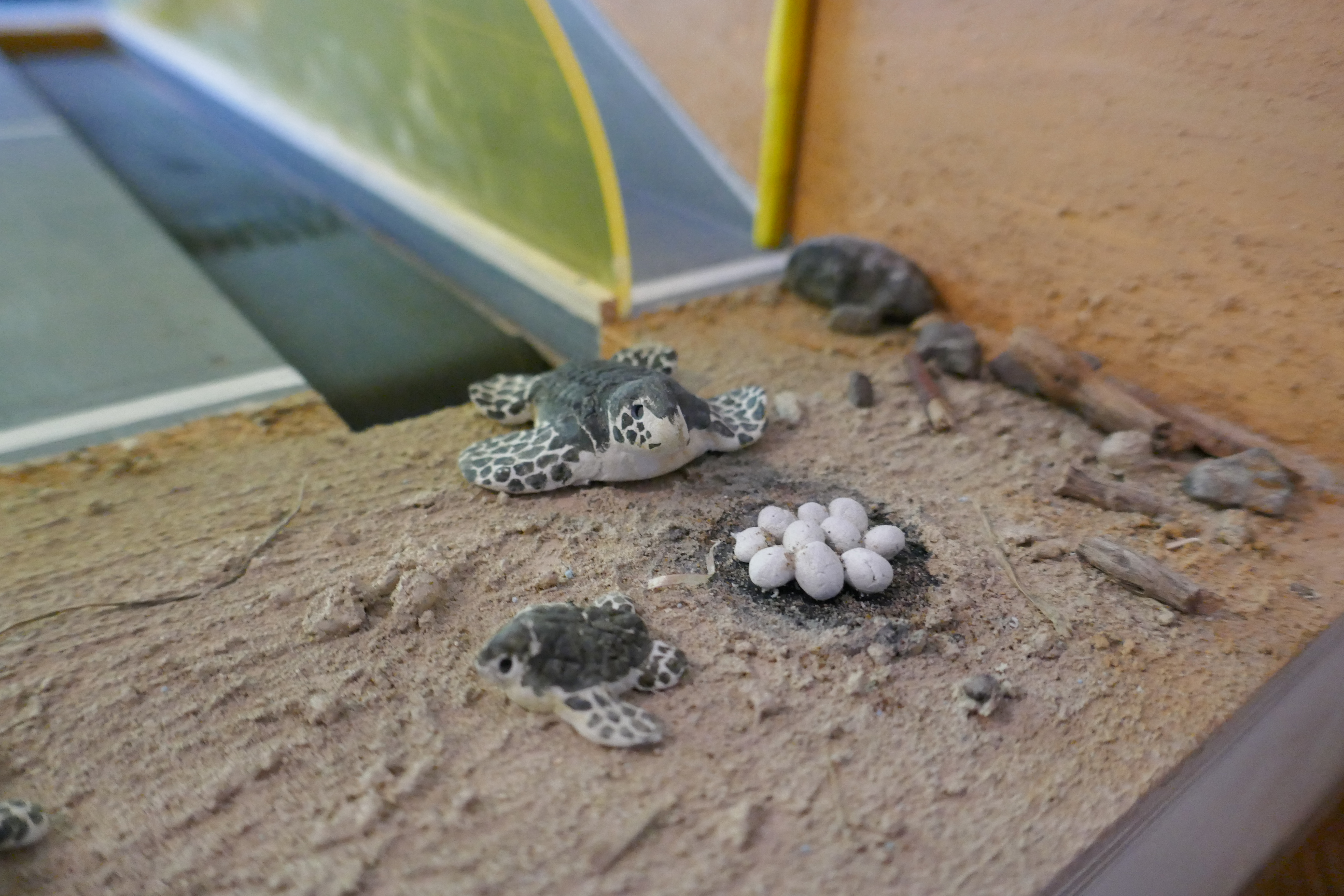 turtle motorway made real 2