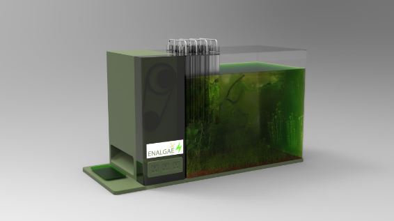 Enalgae invention