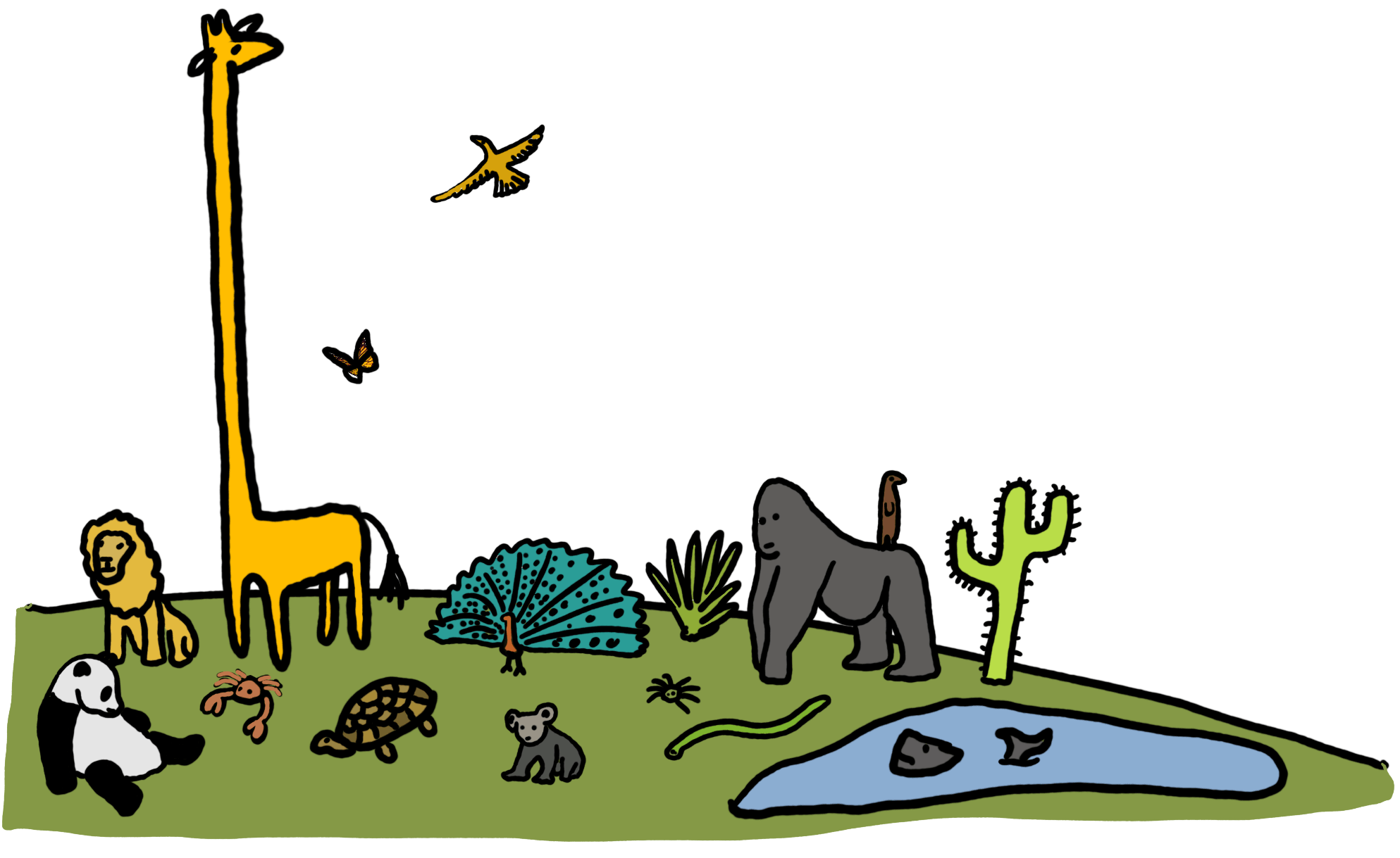 wild animals