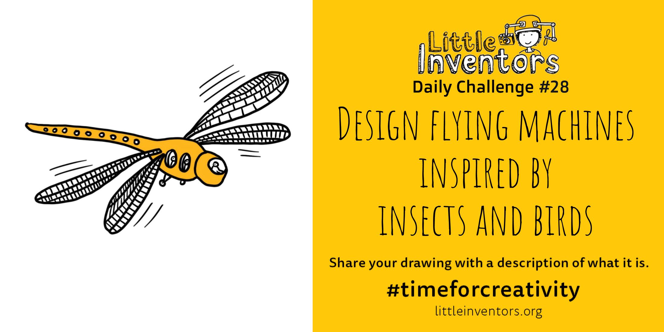 Little Inventors Challenge 28 : Design flying machines inspired by insects and birds